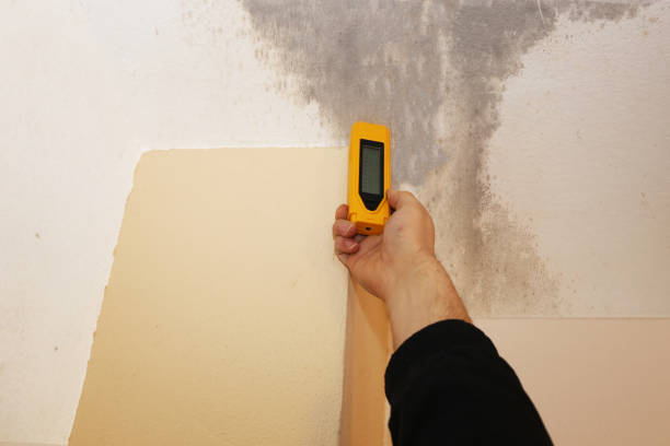 Best Comprehensive Air Testing for Mold Contaminants  in Coosada, AL