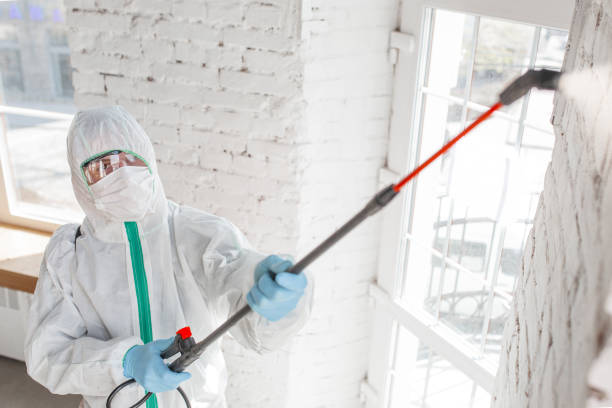 Best Attic Mold Removal  in Coosada, AL