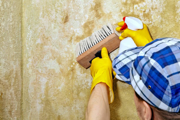 Best Residential Mold Inspection & Testing  in Coosada, AL