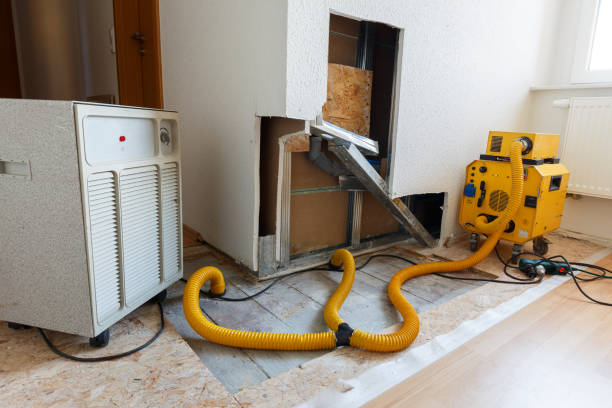 Best Attic Mold Removal  in Coosada, AL